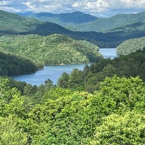 Adult Philips Sonicare-Daily Clean